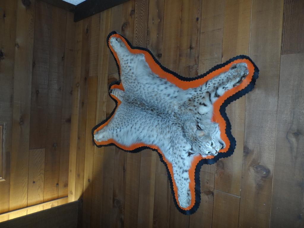 Bear Lodge Motel Sundance Zewnętrze zdjęcie