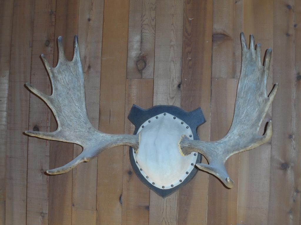 Bear Lodge Motel Sundance Zewnętrze zdjęcie