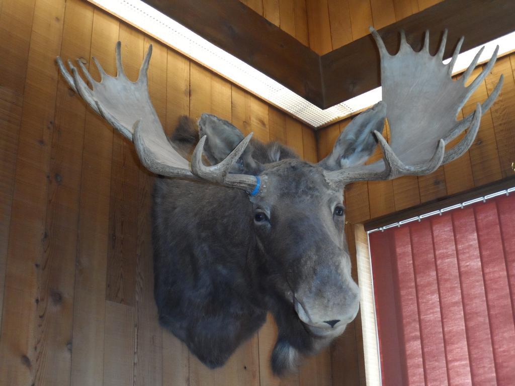 Bear Lodge Motel Sundance Zewnętrze zdjęcie