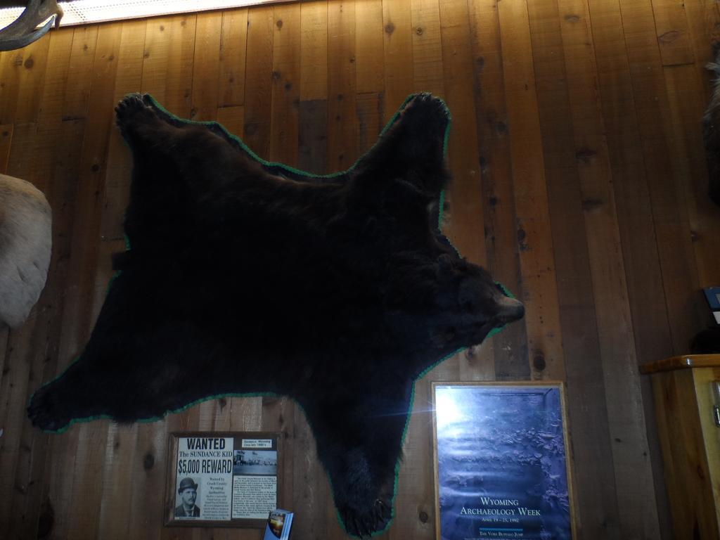 Bear Lodge Motel Sundance Zewnętrze zdjęcie